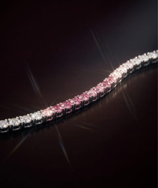 WhatsApp Image 2026-03-13 at 2.18.59 PM